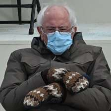 bernie.png
